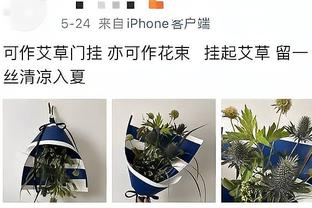 江南彩票app下载官网手机版截图4